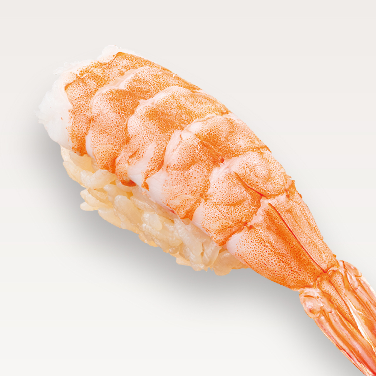 50_Shrimp